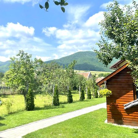 Casa De Vacanta Orlat Eksteriør billede
