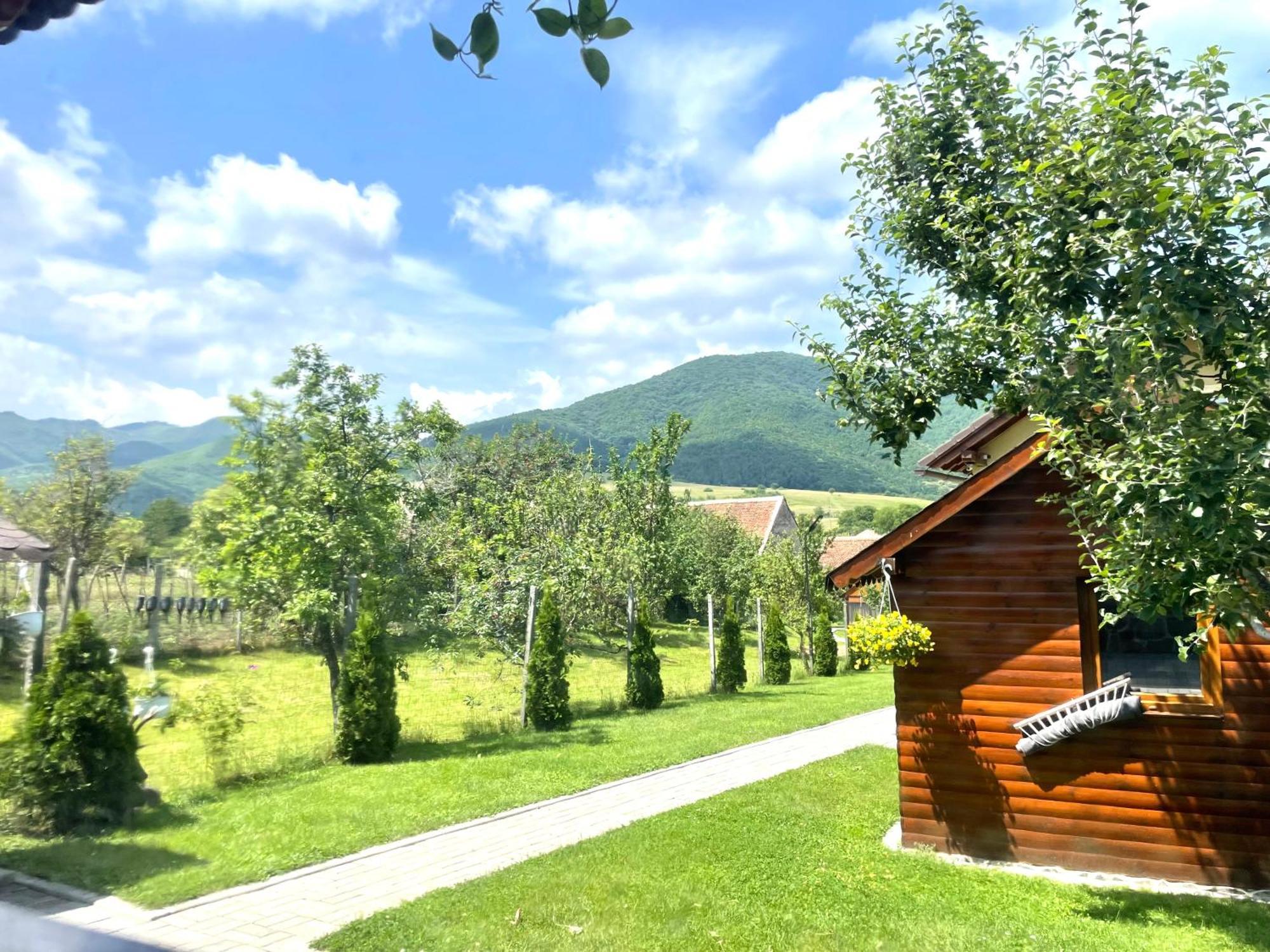 Casa De Vacanta Orlat Eksteriør billede